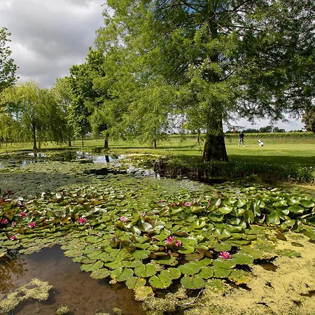 Ancora Sport 4* Meolo