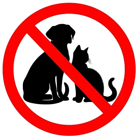 Ancora Sport 4* Meolo